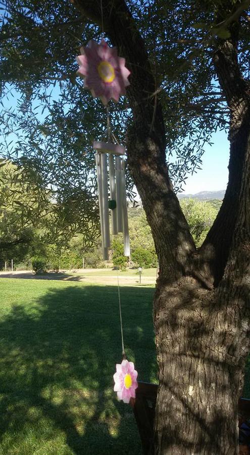 Vakantieboerderij Sa Mendhula Cugnana