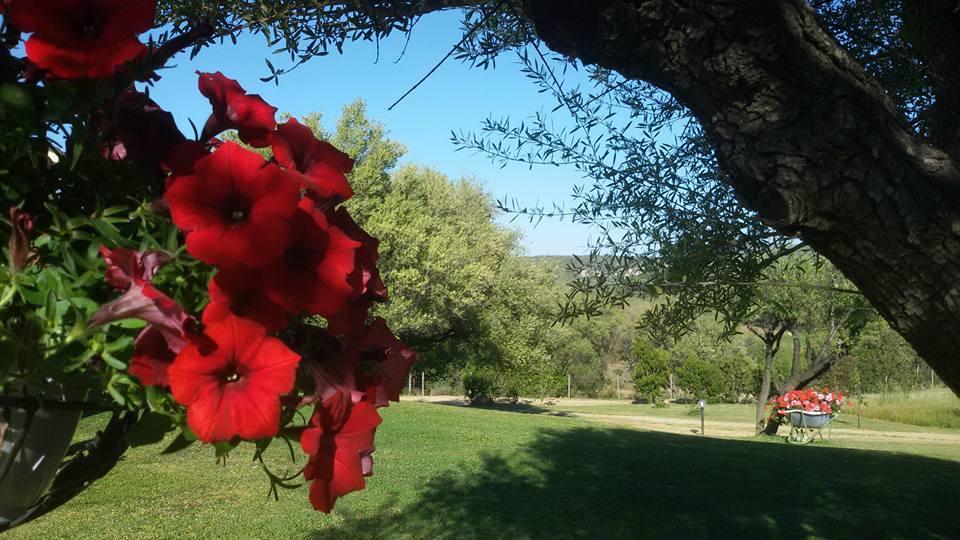 Bauernhof Sa Mendhula Cugnana