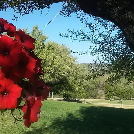 Agriturismo Sa Mendhula Villa Cugnana Esterno foto