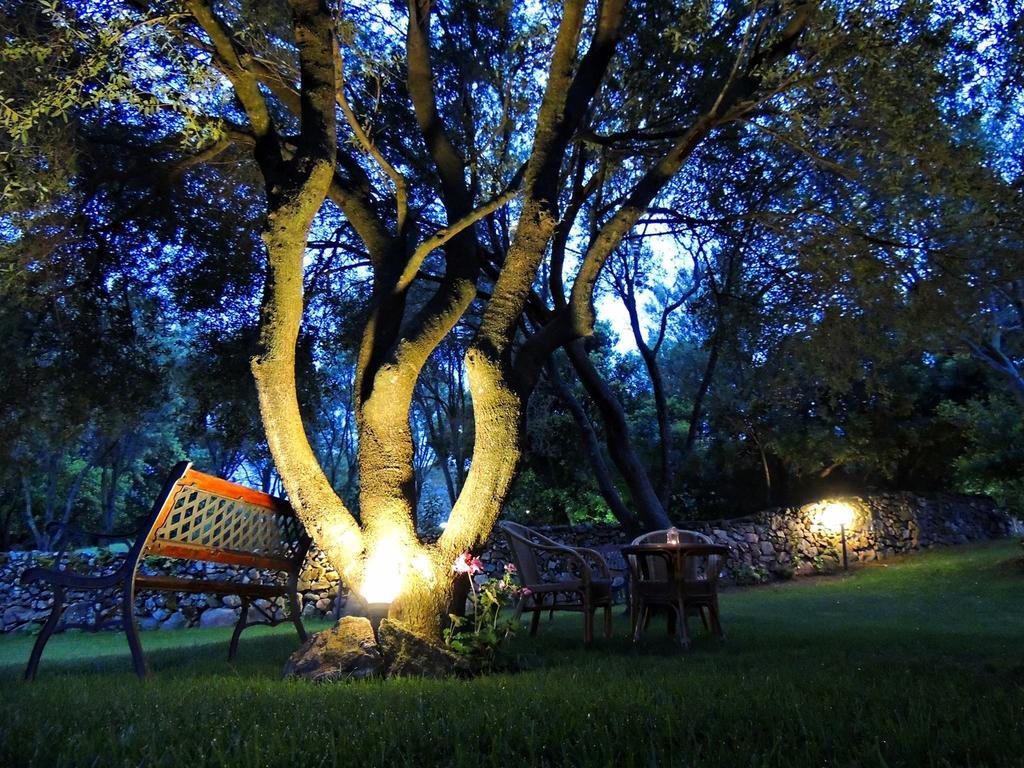 Farm stay Sa Mendhula