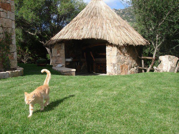 Sa Mendhula * Cugnana