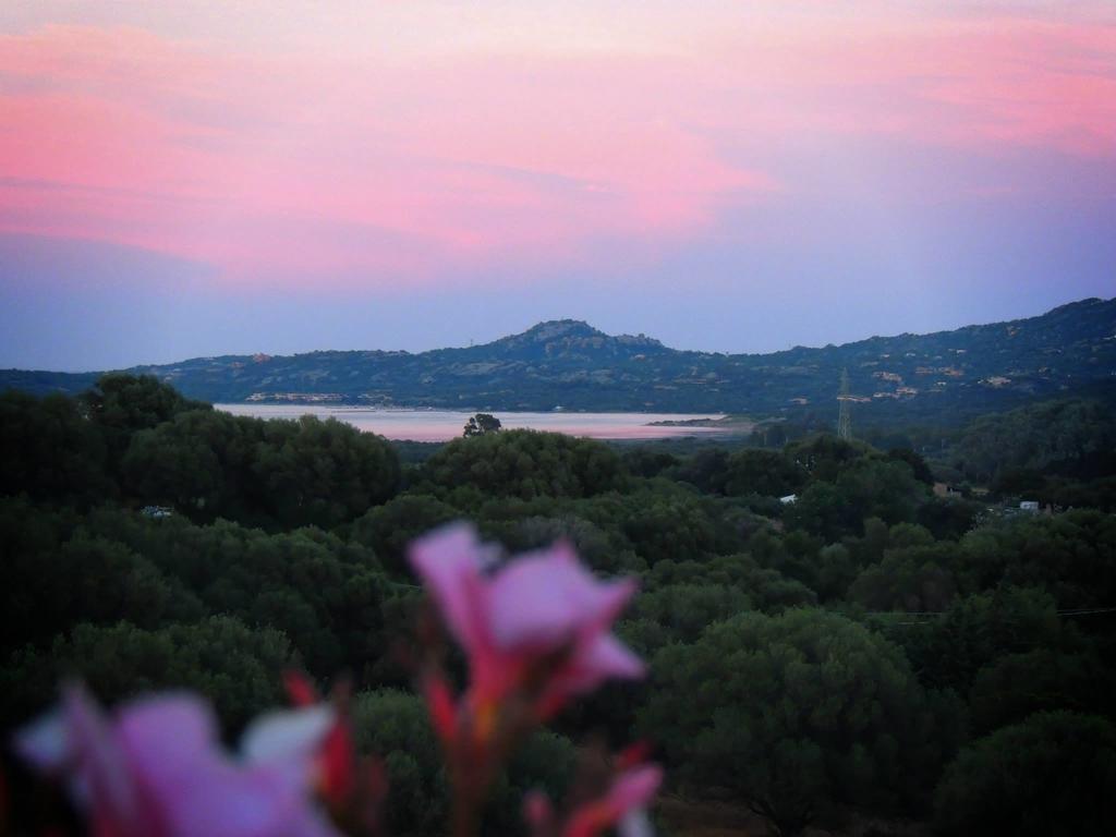Sa Mendhula Farm stay *