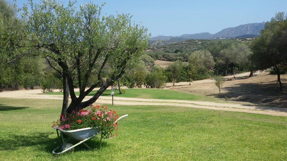 Farm stay Sa Mendhula Cugnana