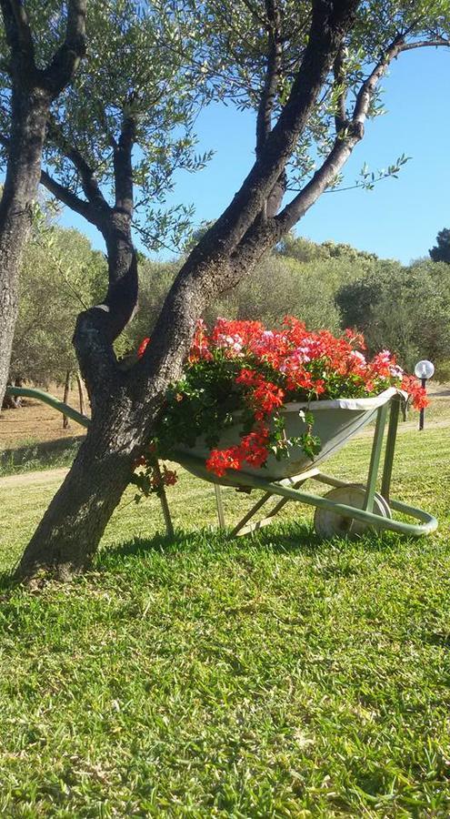 Farm stay Sa Mendhula Cugnana