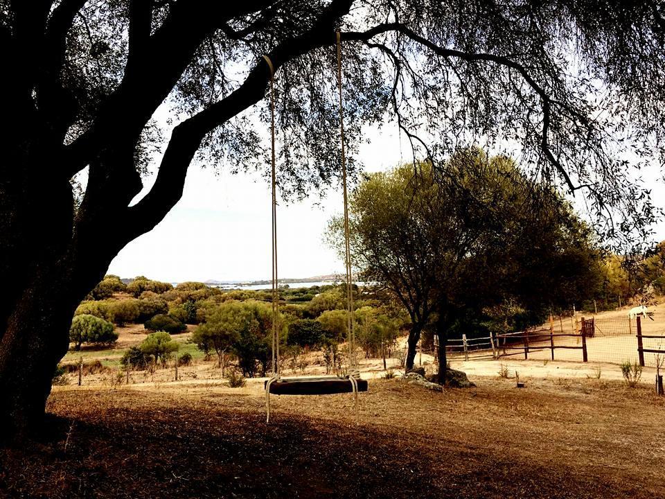 Farm stay Sa Mendhula