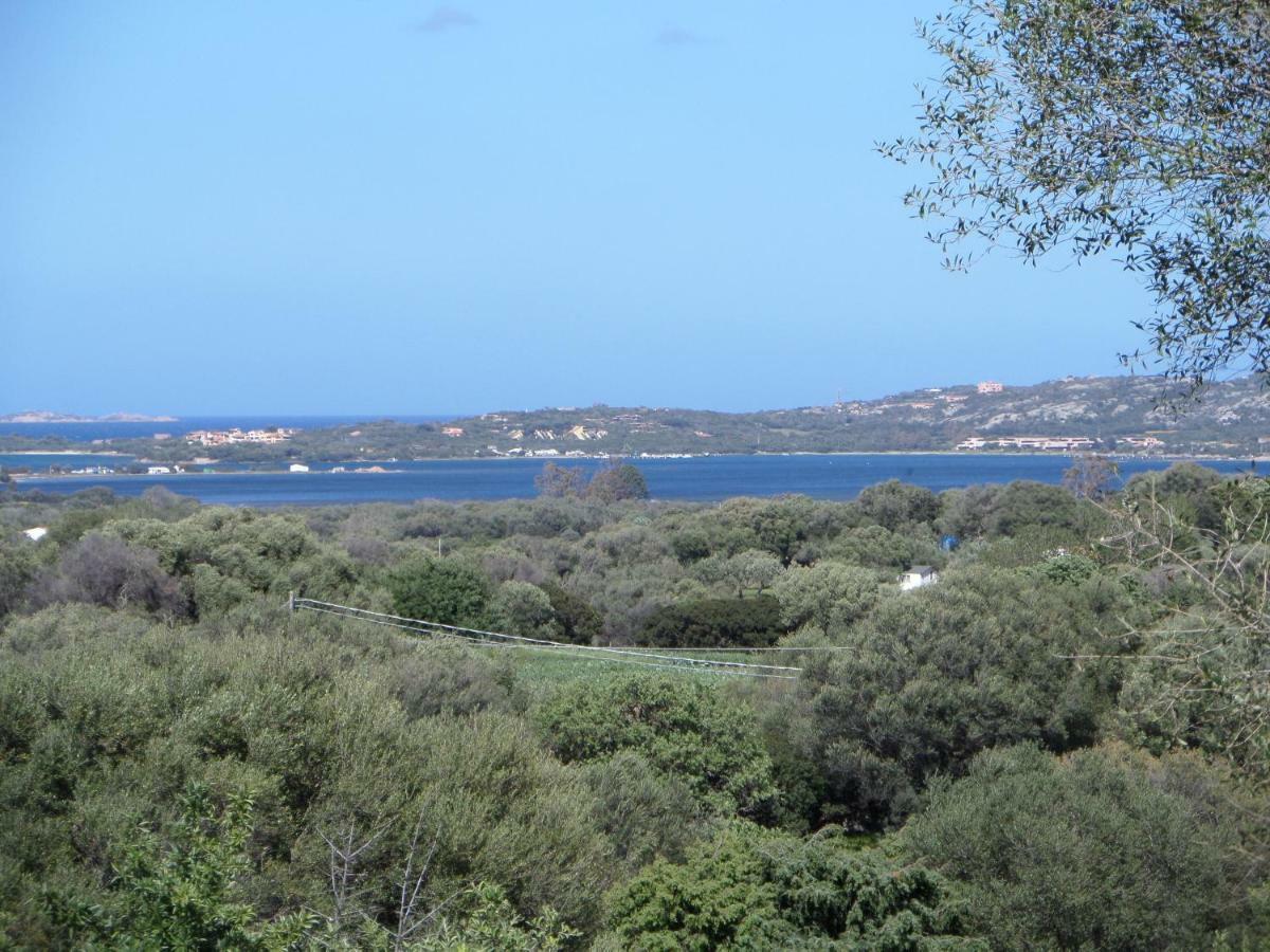Sa Mendhula Farm stay